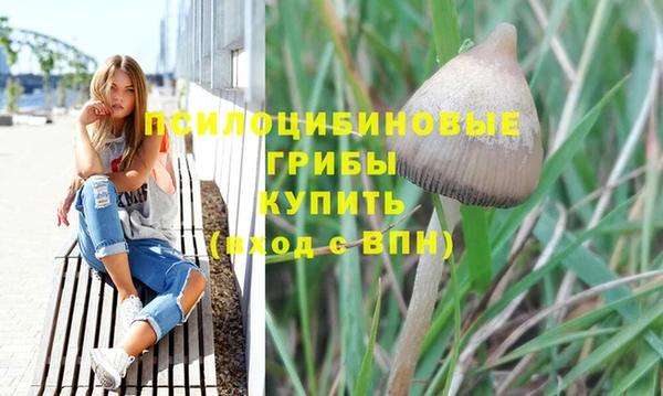 крисы Алзамай