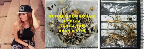 стаф Алексеевка