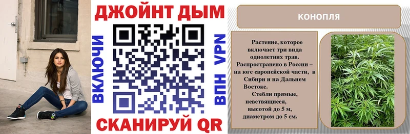 дарк нет формула  Аргун  Бошки Шишки тримм  где найти  